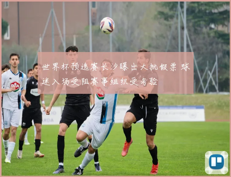 世界杯预选赛长沙曝出大批假票 球迷入场受阻赛事组织受考验