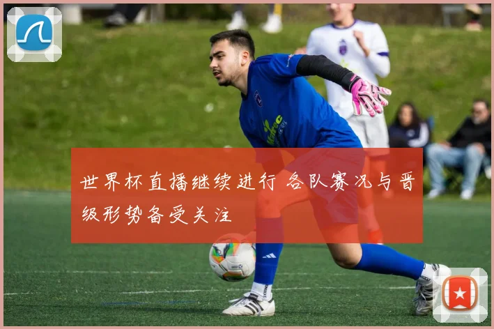 世界杯直播继续进行 各队赛况与晋级形势备受关注