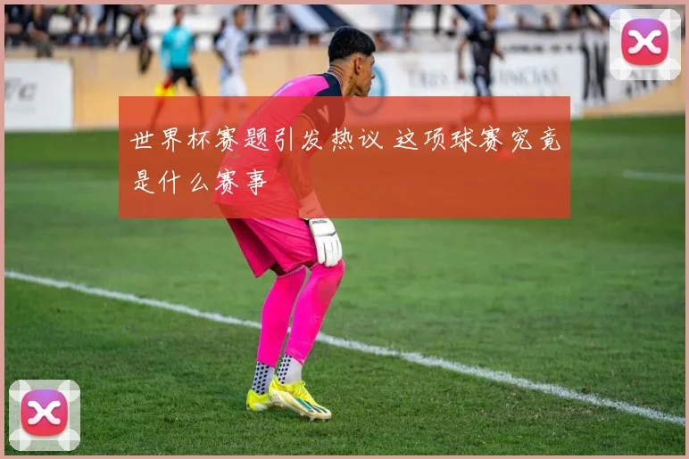 世界杯赛题引发热议 这项球赛究竟是什么赛事