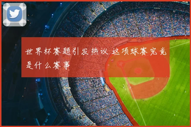 世界杯赛题引发热议 这项球赛究竟是什么赛事