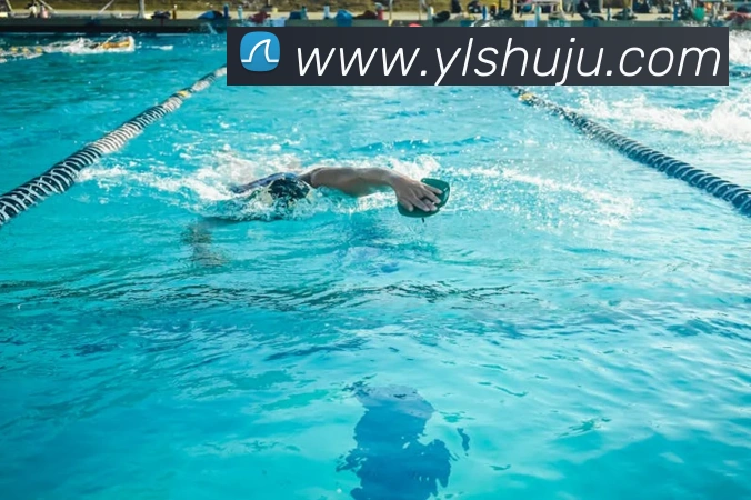 巅峰国标pg官网入口服务体系