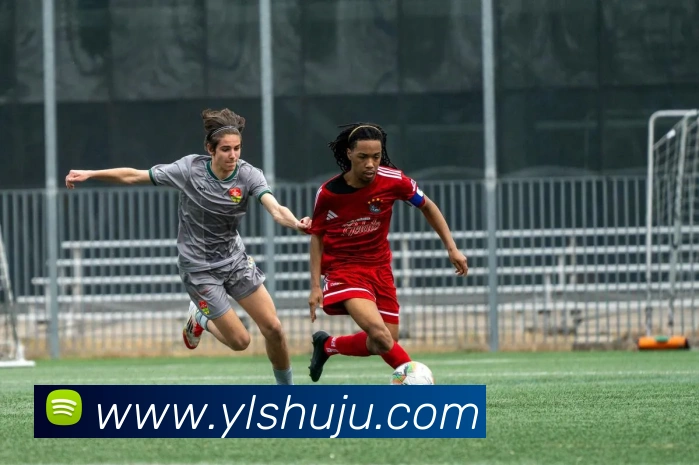 巅峰国标pg官网入口APP 体育赛事宣传图